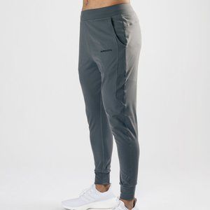 Alphalete Premium V2 Jogger - Gray - $38